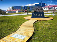佛山天华矿业集团